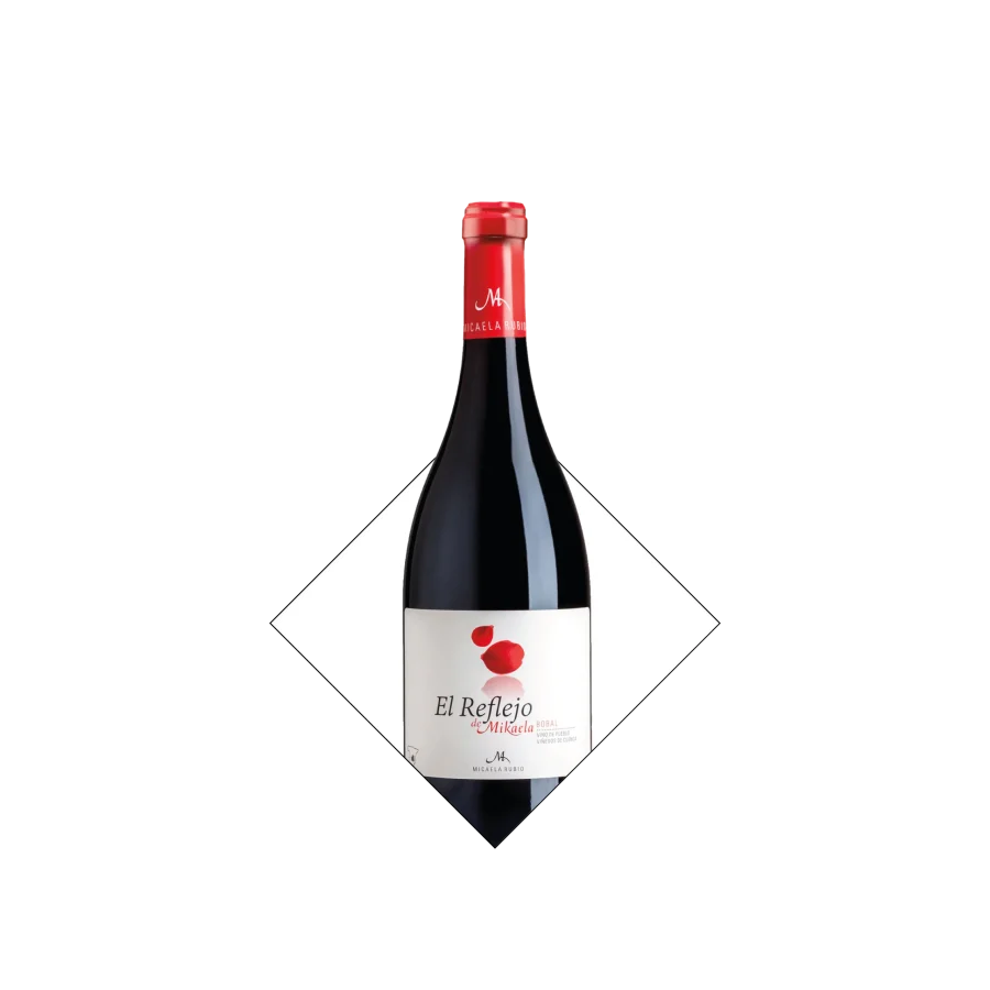 el reflejo de mikaela