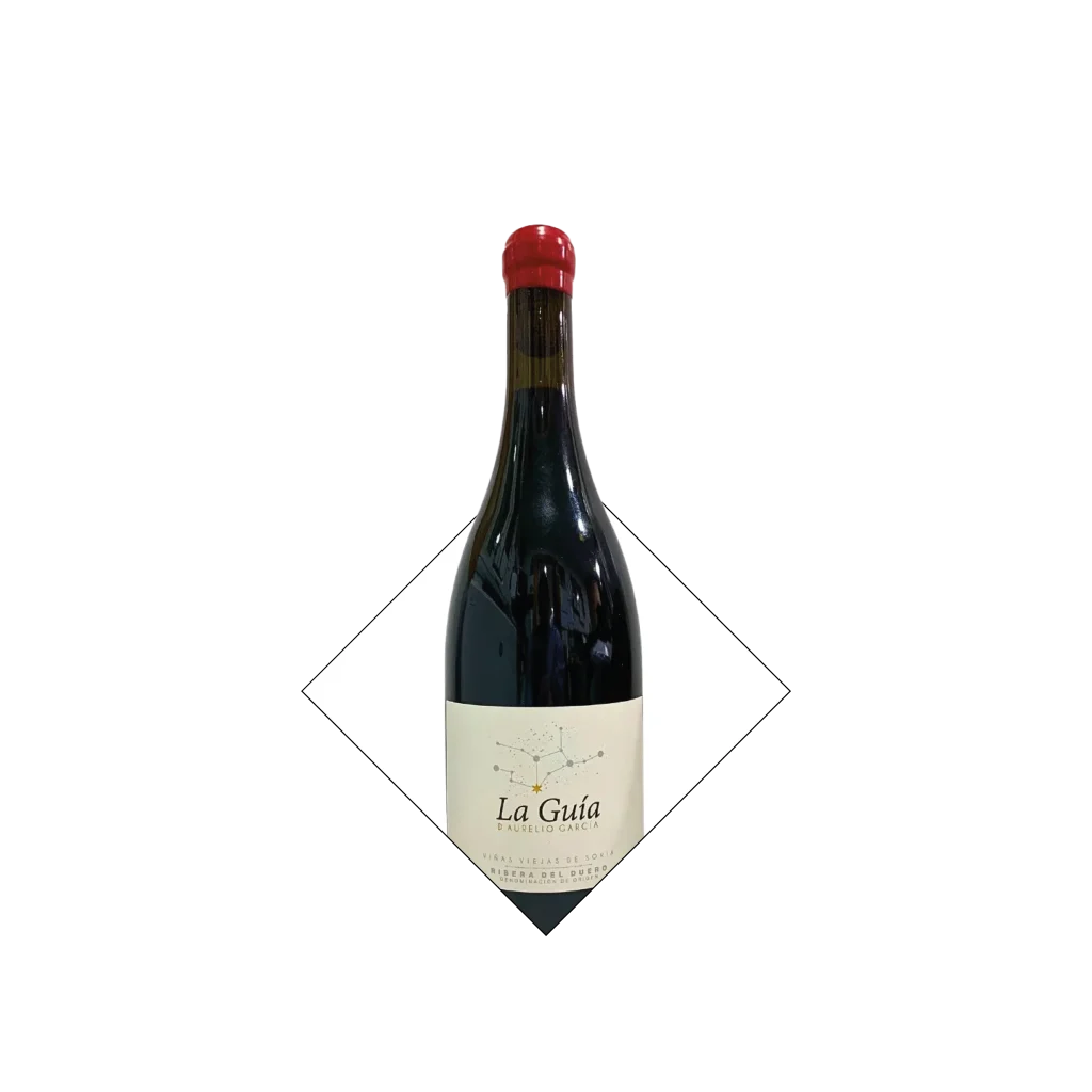 la guia de aurelio garcia