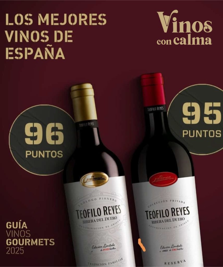 Vinos-con-calma-mejores-vinos